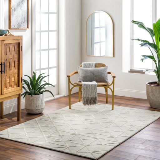 Surya Rugs Addison Collection Beige & Cream Pattern Area Rug  ADD-2302 - Image 1
