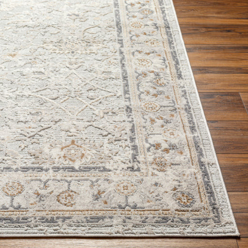 Surya Rugs Alamo Collection Area Rug ALO-2316 - Image 3