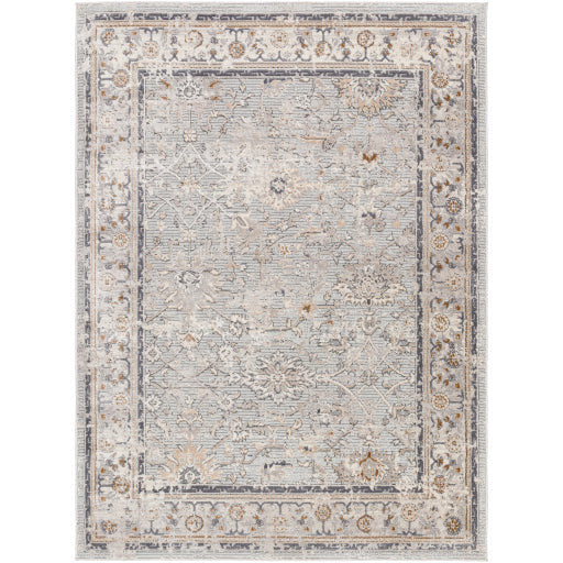Surya Rugs Alamo Collection Area Rug ALO-2316 - Image 1