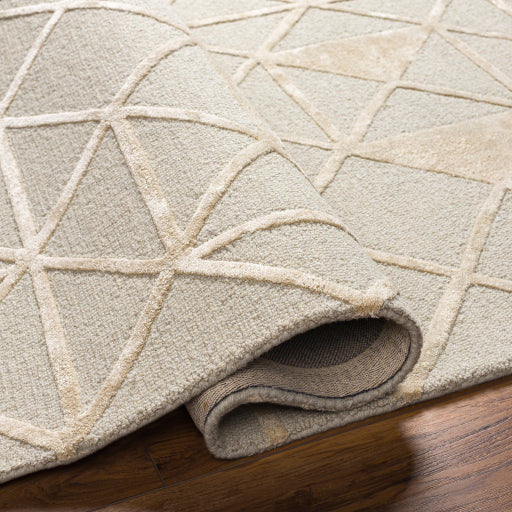 Surya Rugs Addison Collection Beige & Cream Pattern Area Rug  ADD-2302 - Image 3