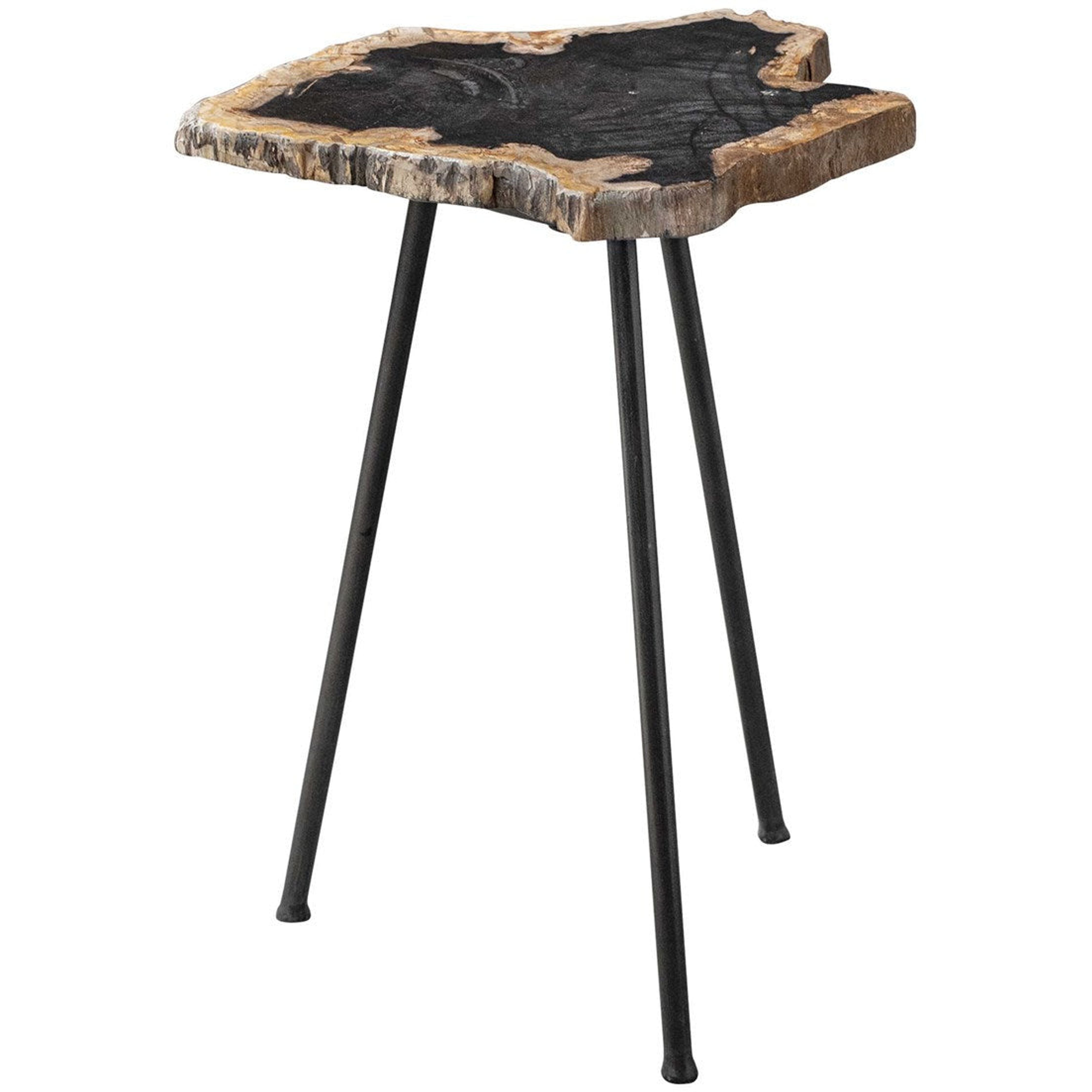 Uttermost Mircea Natural Petrified Wood With Aged Black Iron Accent Table - Image 2