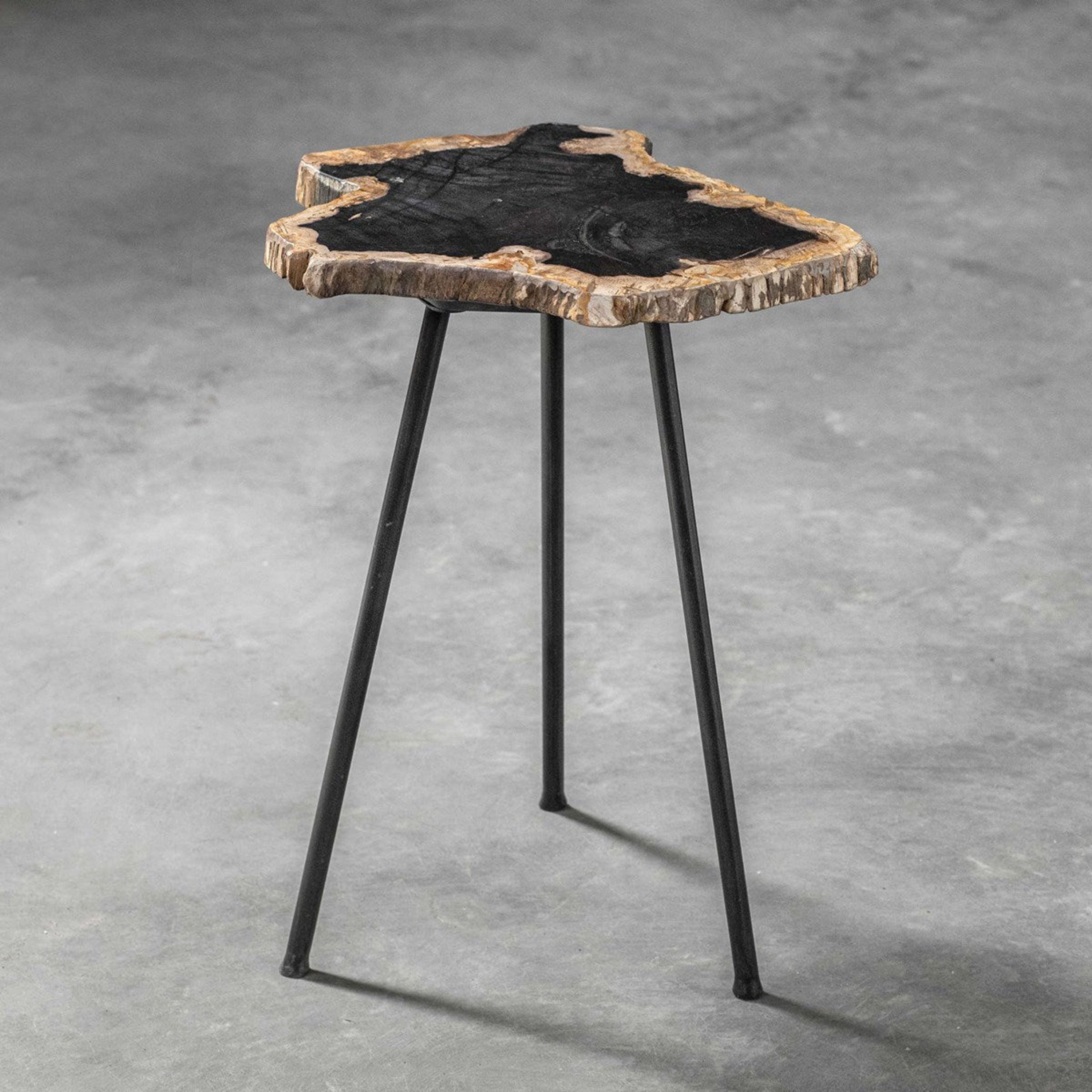 Uttermost Mircea Natural Petrified Wood With Aged Black Iron Accent Table - Image 3