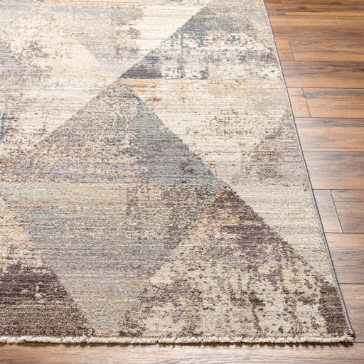 Surya Rugs Aida Collection Beige, Tan, Gray & Ivory Area Rug AAD-2308 - Image 3