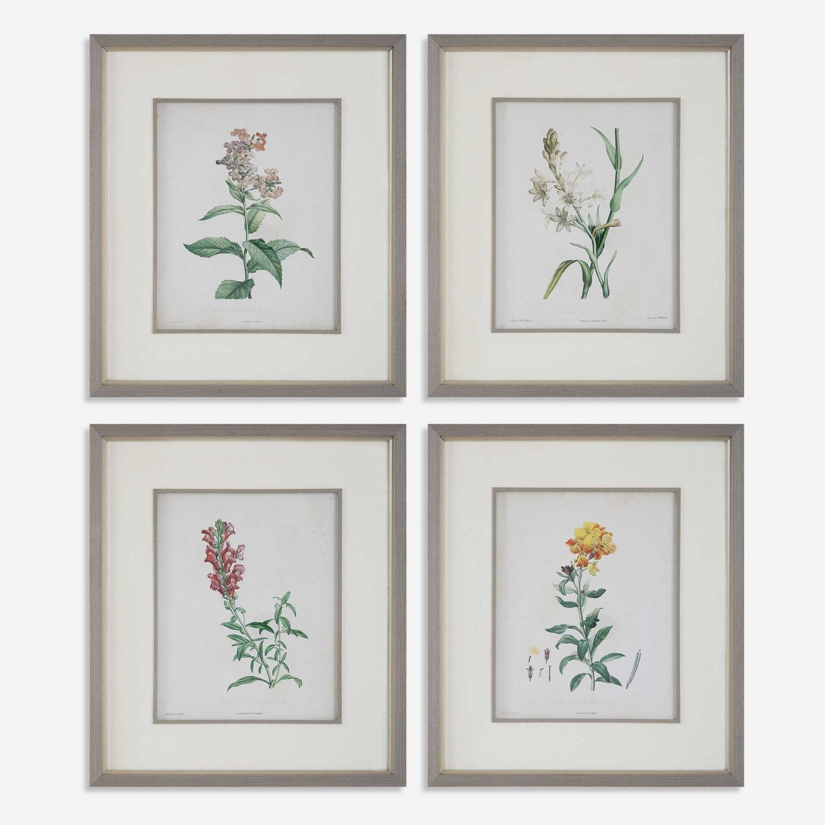 Uttermost Heirloom Blooms Study Set of 4 Framed Prints - Image 2