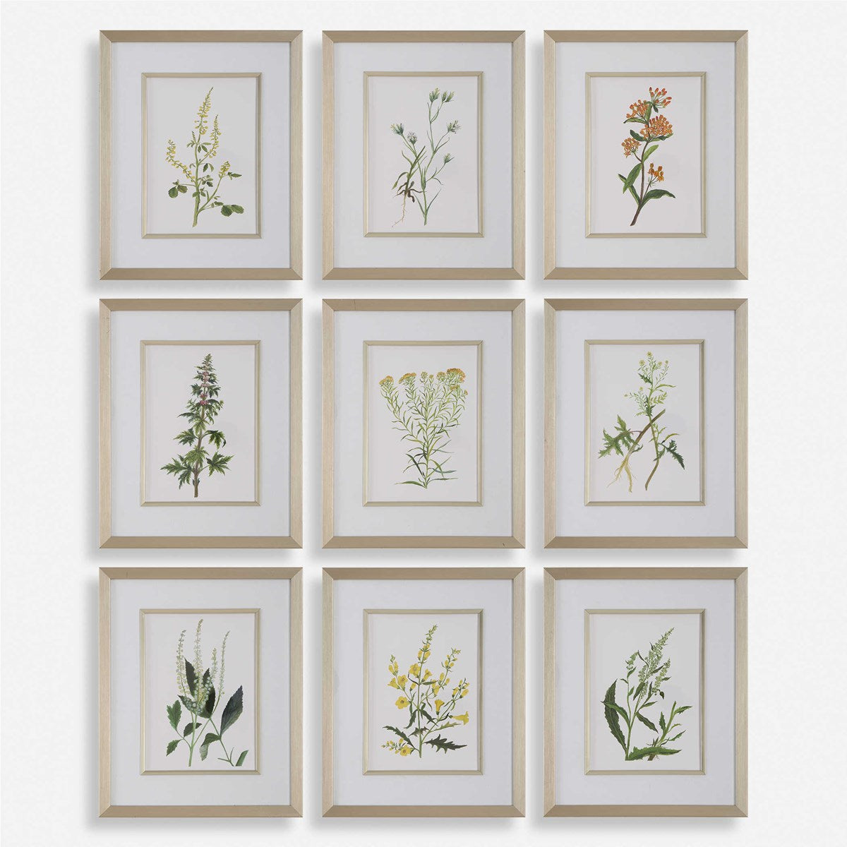 Uttermost Botanical Flowers Set of 9 Framed Prints - Image 2