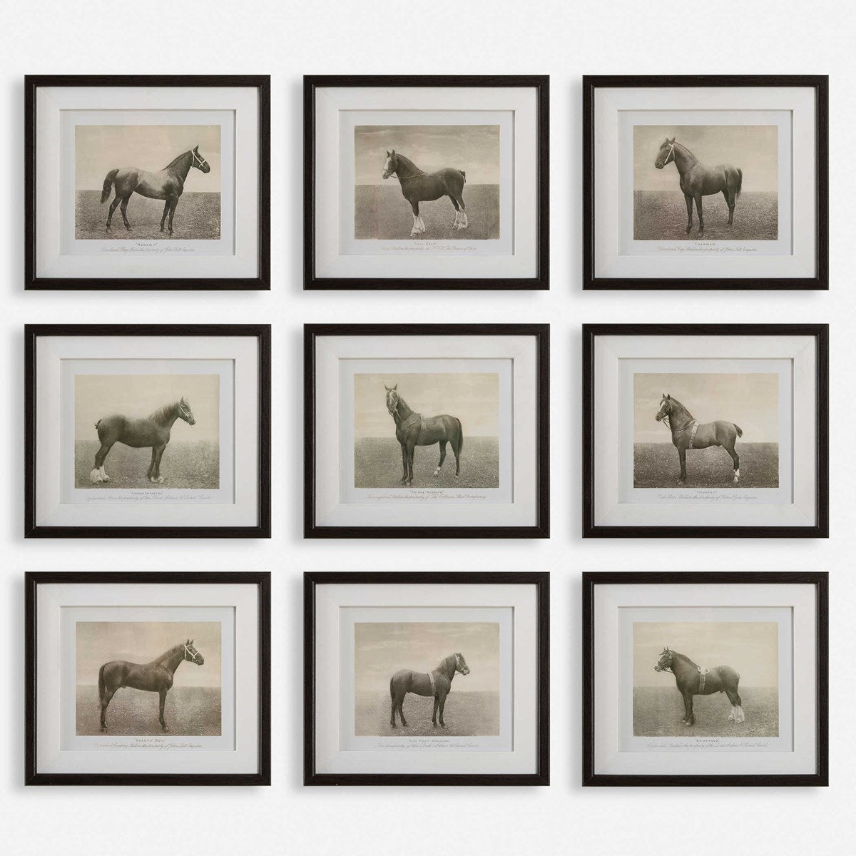 Uttermost Equine Dynasty Horse Sketch Set of 9 Framed Prints - Image 2