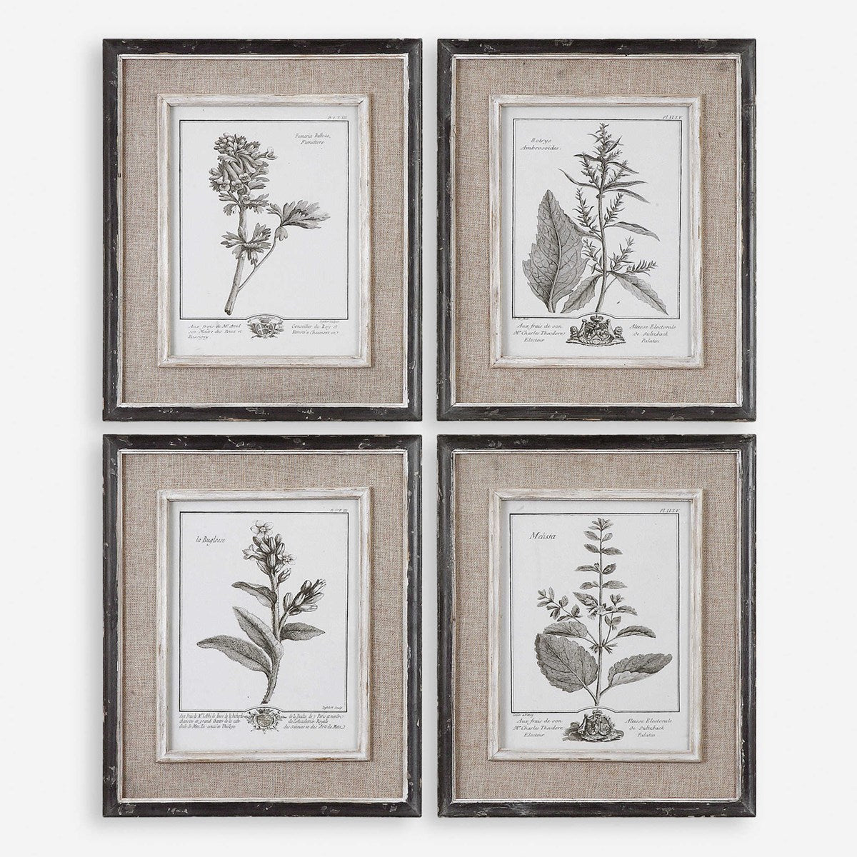 Uttermost Casual Grey Botanical Set of 4 Framed Prints