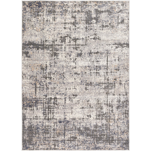 Surya Rugs Alamo Collection Area Rug ALO-2310 - Image 1