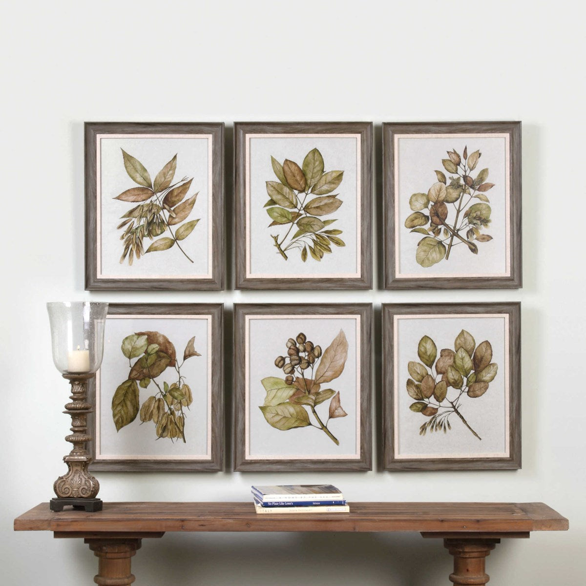 Uttermost Seedlings Botanical Set of 6 Framed Prints - Image 2