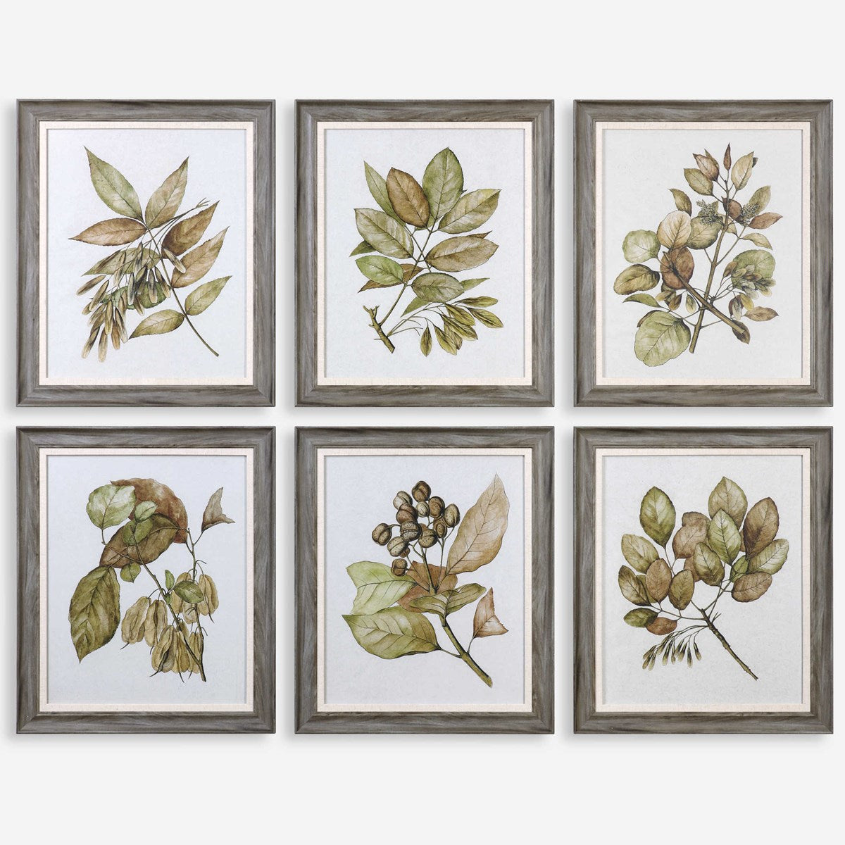 Uttermost Seedlings Botanical Set of 6 Framed Prints - Image 1