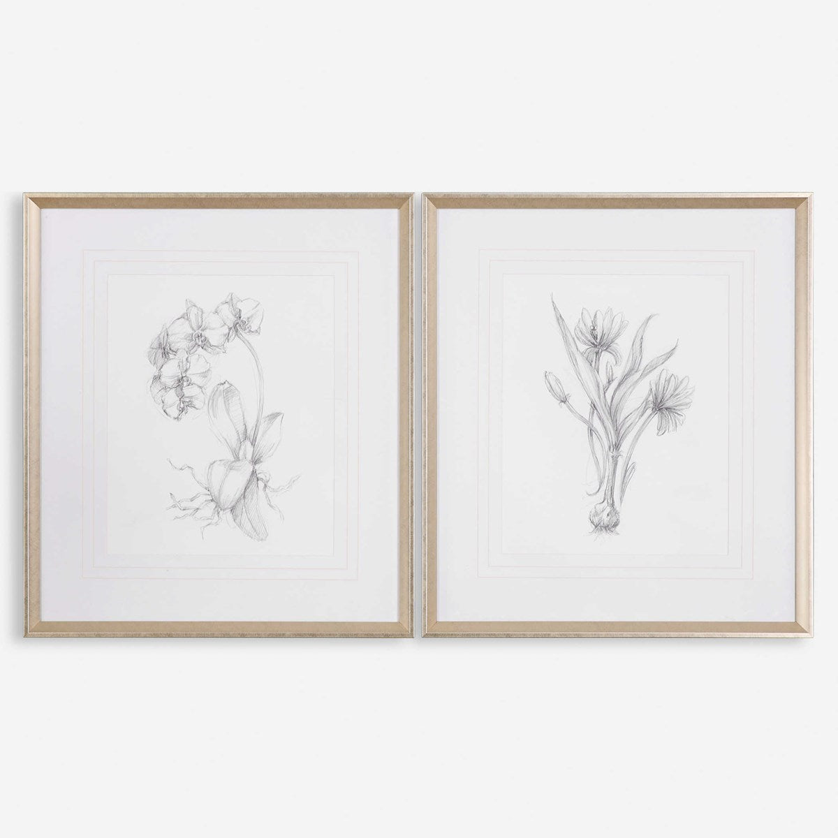 Uttermost Botanical Sketches Set of 2 Framed Prints