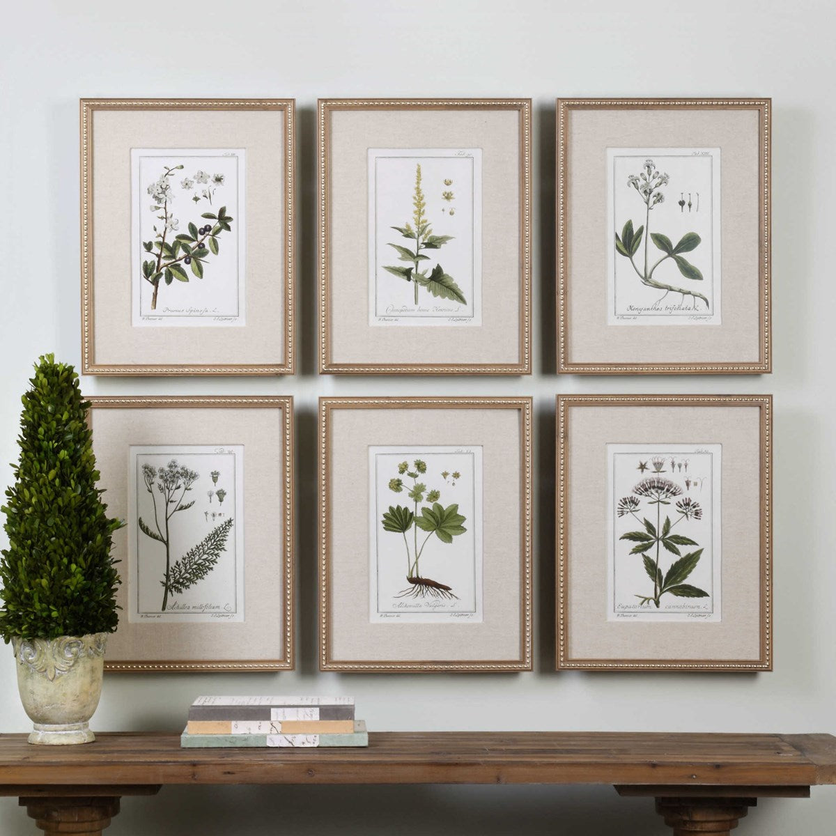 Uttermost Green Floral Botanical Study Set of 6 Framed Prints - Image 1