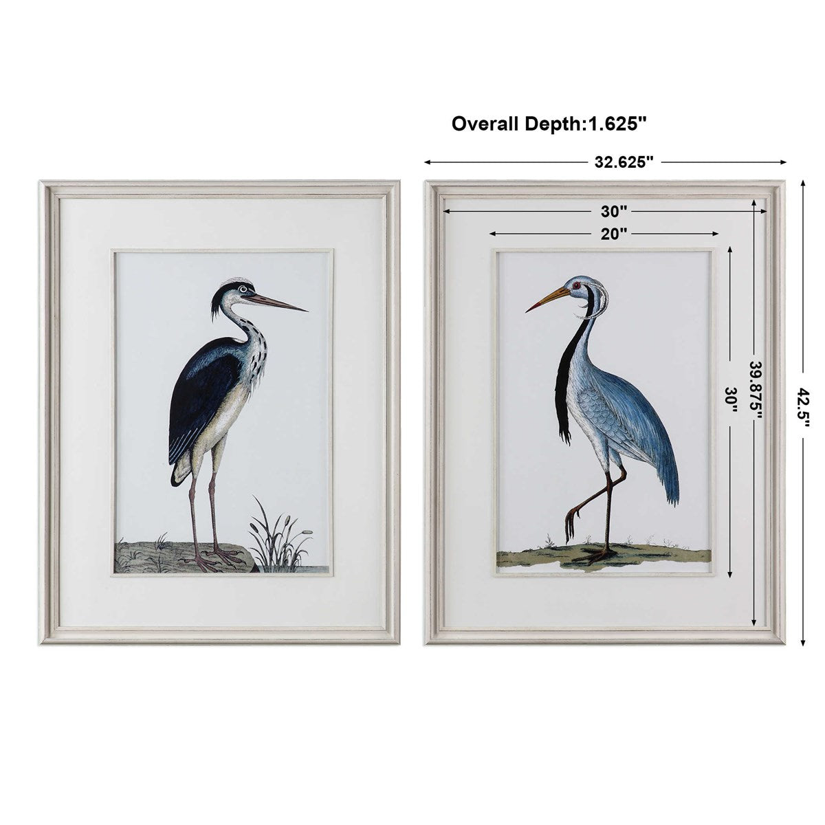 Uttermost Shore Birds Coastal Set of 2 Framed Prints - Image 3