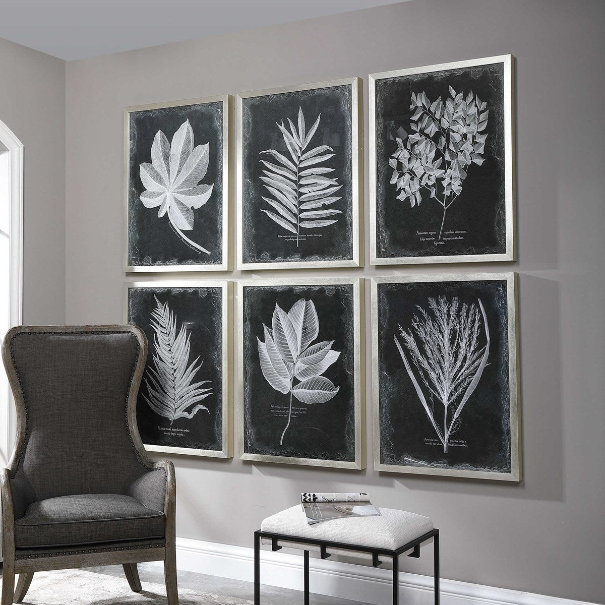 Uttermost Foliage Botanical Black and White Set of 6 Framed Prints - Image 3