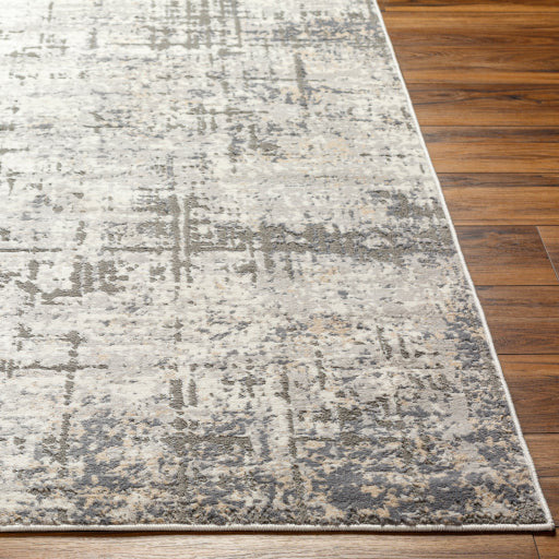 Surya Rugs Alamo Collection Area Rug ALO-2310 - Image 2