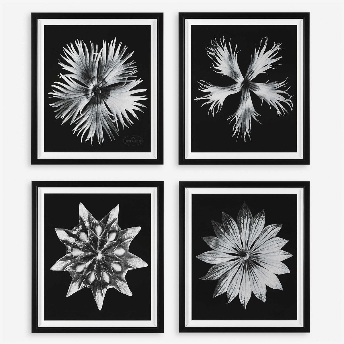 Uttermost Contemporary Black and White Florals Set of 4 Framed Prints, - Image 2