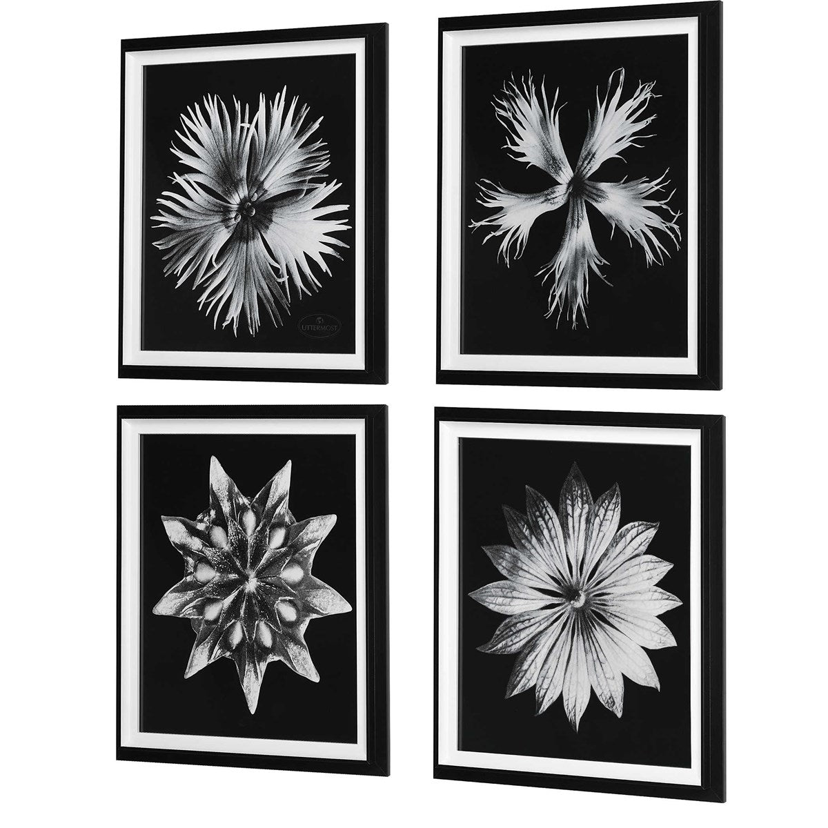 Uttermost Contemporary Black and White Florals Set of 4 Framed Prints, - Image 3