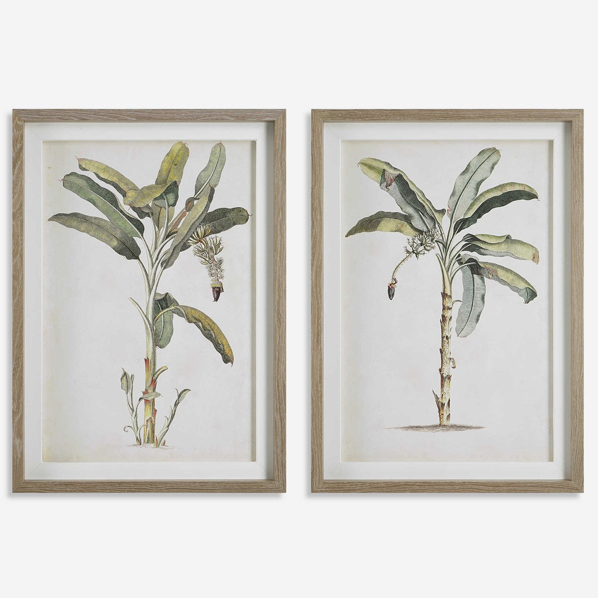 Uttermost Banana Palm Set of 2 Coastal Style Framed Prints - Image 2