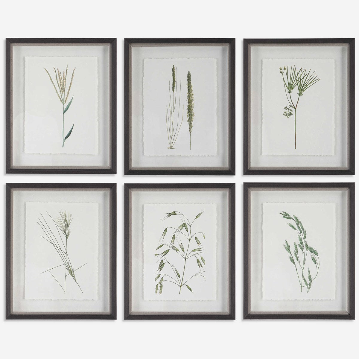 Uttermost Forest Finds Nature Set of 6 Framed Prints - Image 2
