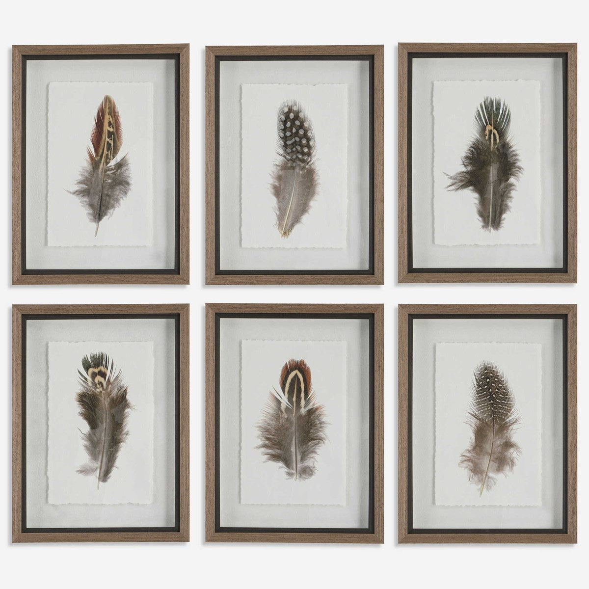 Uttermost Birds Of A Feather Set of 6 Framed Prints - Image 2