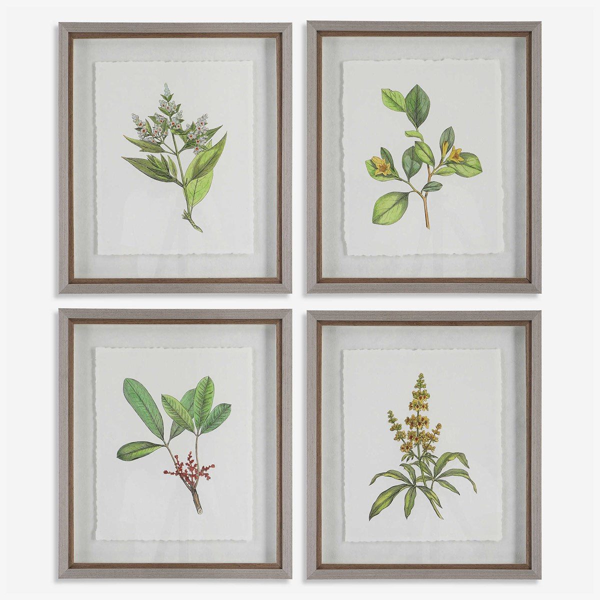 Uttermost Wildflower Study Set of 4 Framed Prints - Image 2