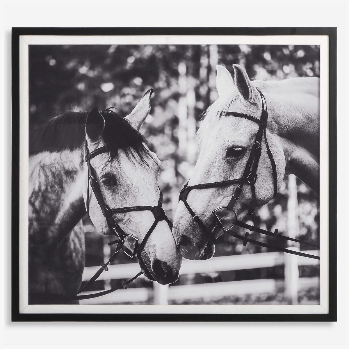 Uttermost Apple Of My Eye Black and White Horses Framed Print - Image 2