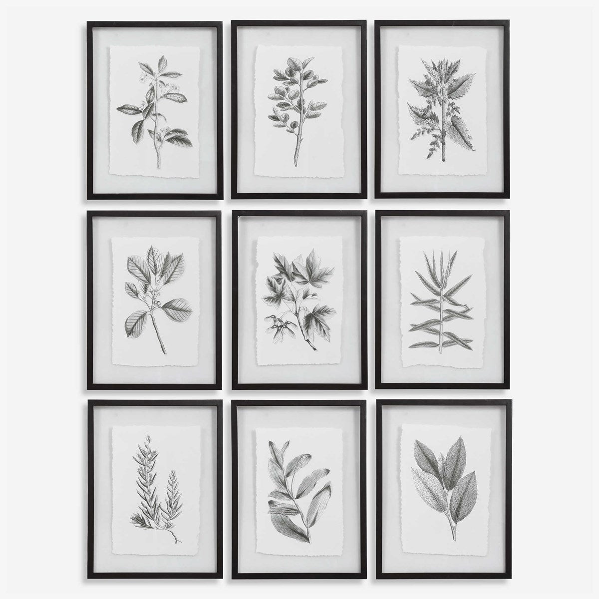 Uttermost Farmhouse Florals Set of 9 Framed Prints - Image 2