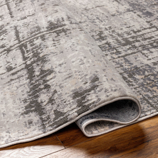 Surya Rugs Alamo Collection Area Rug ALO-2310 - Image 3