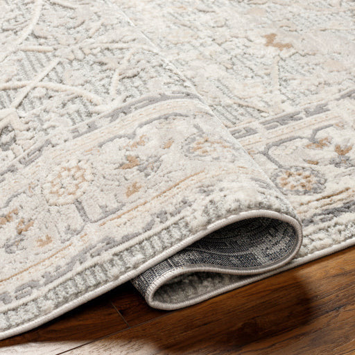 Surya Rugs Alamo Collection Area Rug ALO-2316 - Image 2