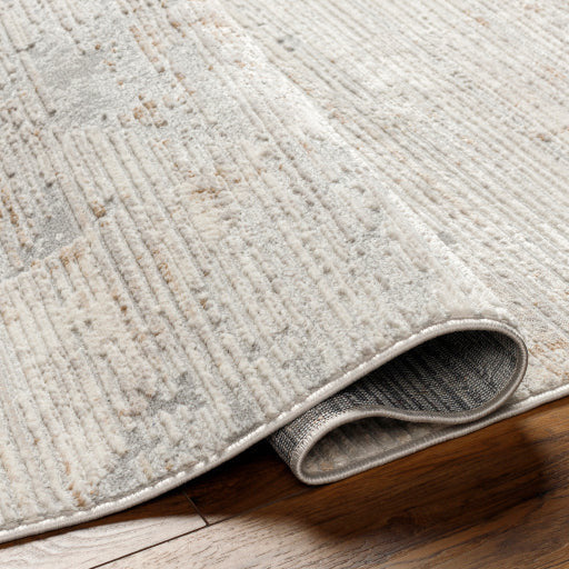 Surya Rugs Alamo Collection Area Rug ALO-2302 - Image 2