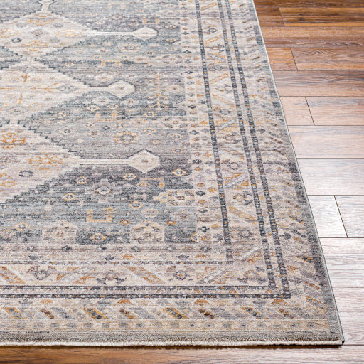 Surya Rugs Aida Collection Gray, Beige, Charcoal & Tan Area Rug AAD-2305 - Image 3