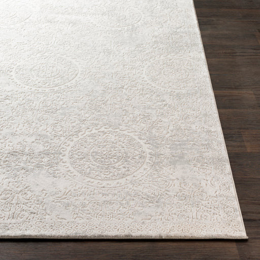 Surya Rugs Aisha Collection Light Gray & Off White Area Rug AIS-2307 - Image 3