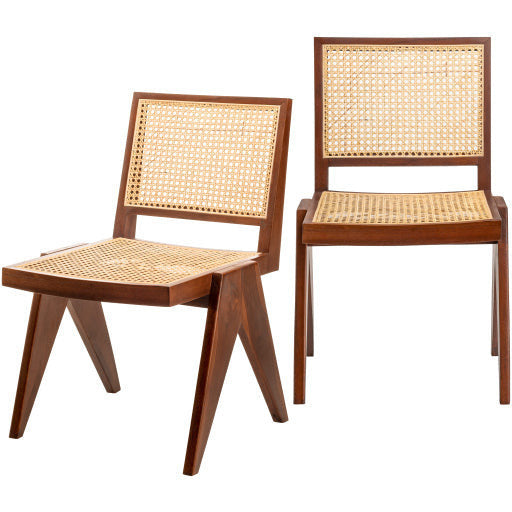 Surya Hague Modern Set of 2 Rattan & Wood Dining Chairs - Image 1