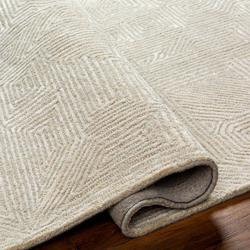Surya Rugs Addison Collection Beige Pattern Area Rug ADD-2304 - Image 1