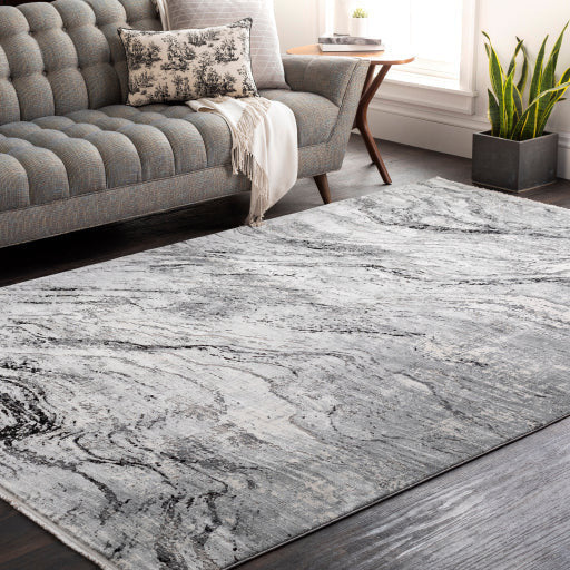 Surya Rugs Solar Collection Charcoal, Gray, Light Gray & Black Area Rug SOR-2309 - Image 1