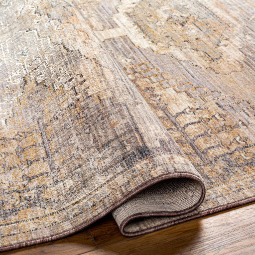 Surya Rugs Aida Collection Beige, Tan, Gray & Ivory Area Rug AAD-2303 - Image 3