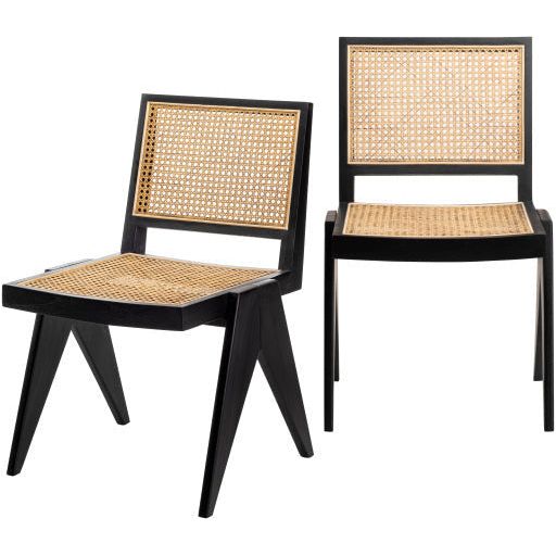Surya Hague Modern Set of 2 Rattan & Black Wood Dining Chairs - Image 1