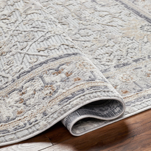 Surya Rugs Alamo Collection Area Rug ALO-2306 - Image 1