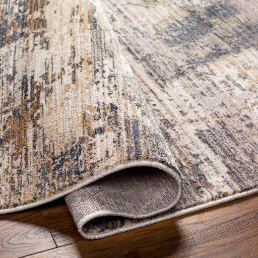 Surya Rugs Aida Collection Beige, Ivory, Gray, Charcoal & Tan Area Rug AAD-2309 - Image 3