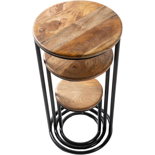 Surya Ansh Modern Natural Wood Top With Black Metal Base Set of 3 Nesting Accent Side Tables ANH-002 - Image 2