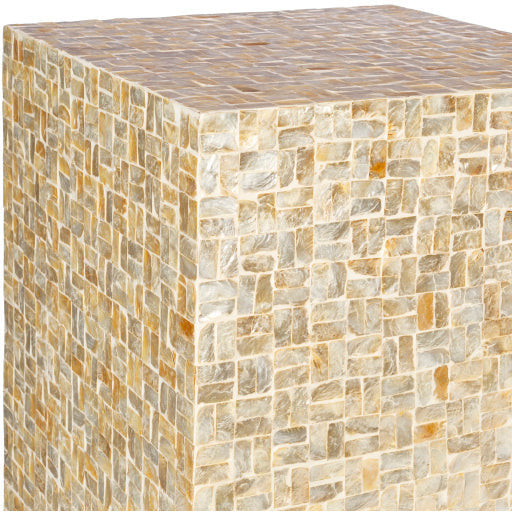Surya Iridescent Modern Shell and Wood Accent Side Table ISC-008 - Image 3