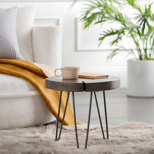 Surya Larissa Modern Gray Wood Top With Black Metal Base Accent Side Table LRI-001 - Image 1