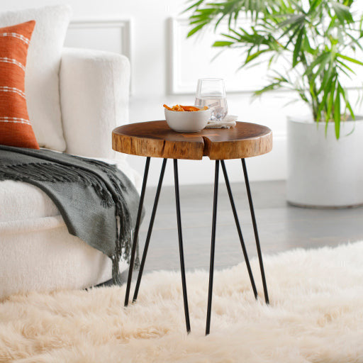 Surya Larissa Modern Natural Wood Top With Charcoal Gray Metal Base Accent Side Table LRI-002 - Image 1