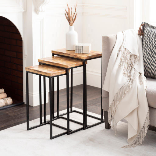 Surya Troyes Modern Natural Wood Top With Black Steel Base Set of 3 Nesting Accent Side Tables TOE-002 - Image 1