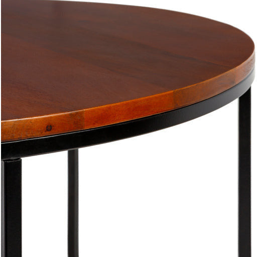 Surya Aryaa Modern Dark Brown Wood Top With Black Metal Base Round Coffee Table YAA-005 - Image 3