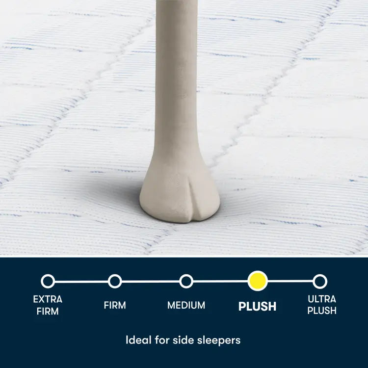 Serta Five Star Mattress Bed in a Box 10” Plush Pillow Top - Image 2