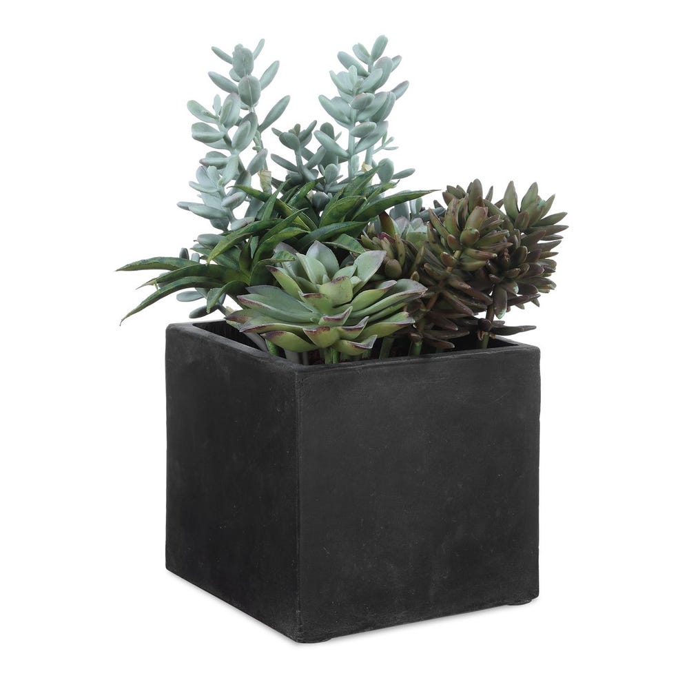 Uttermost Greystone Succulent ~ Indoor And Outdoor Use - Image 2