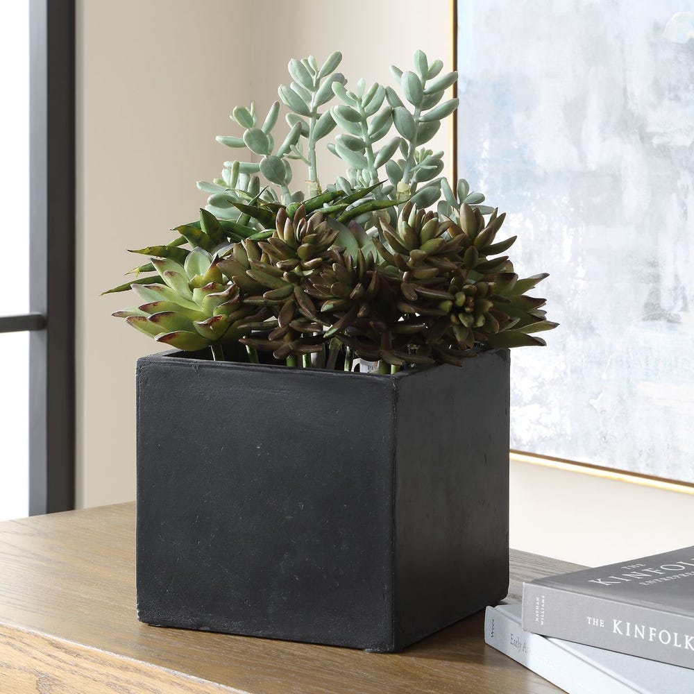 Uttermost Greystone Succulent ~ Indoor And Outdoor Use - Image 3
