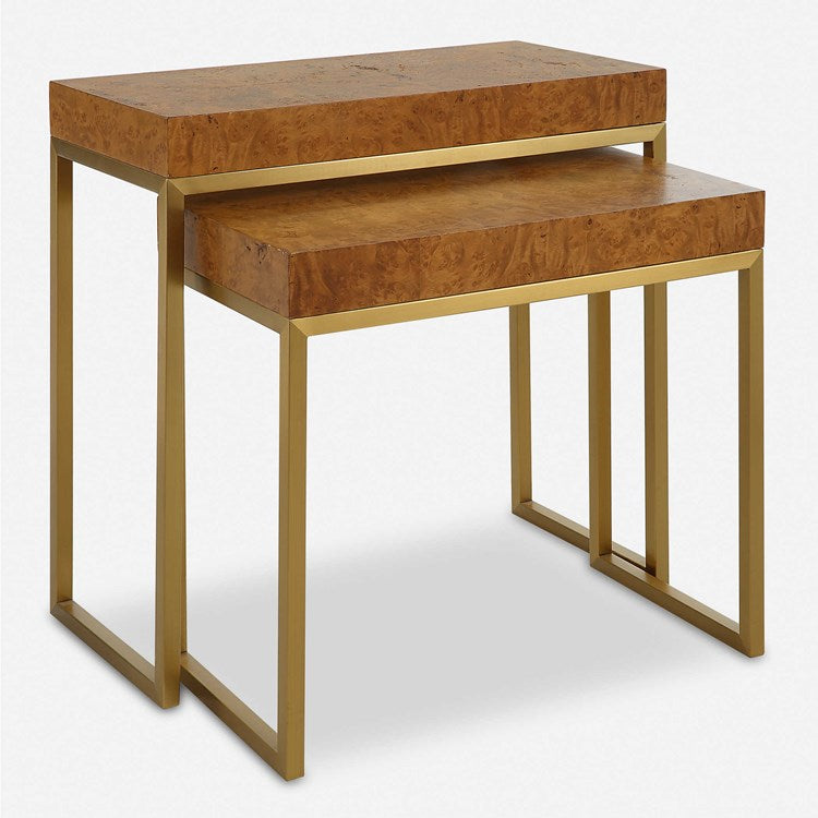 Uttermost Burlesque Burl With Brushed Brass Set of 2 Nesting Tables - Image 2