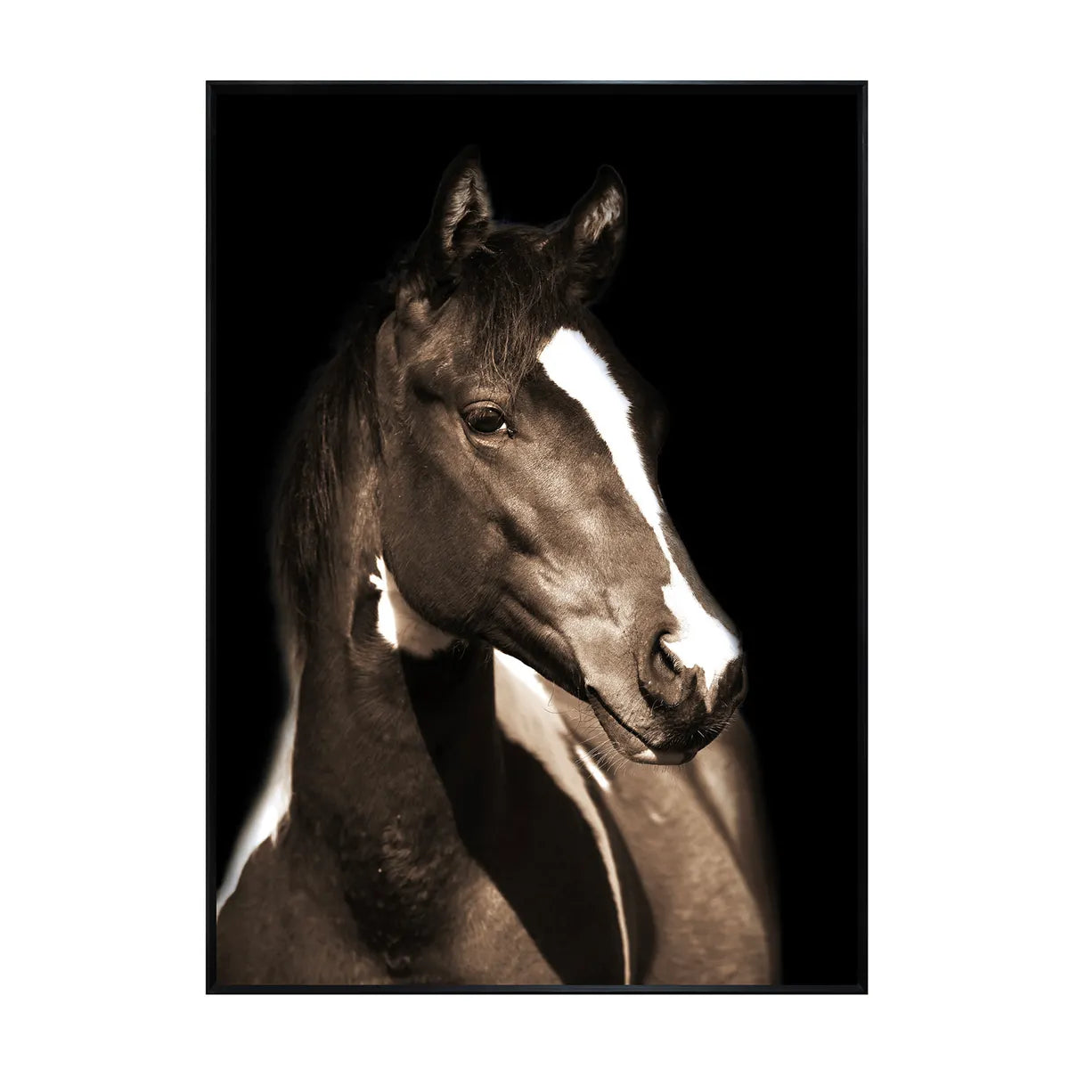 Crestview Collection Fayette 1 Printed On Tempered Glass Wall Art - Image 1